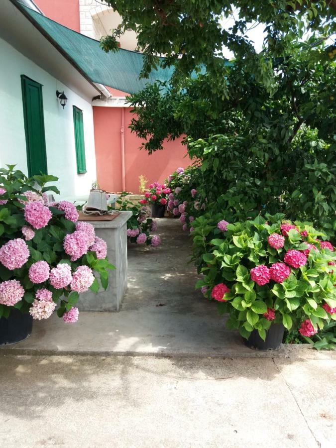 Apartmani Ana Bibinje Ngoại thất bức ảnh